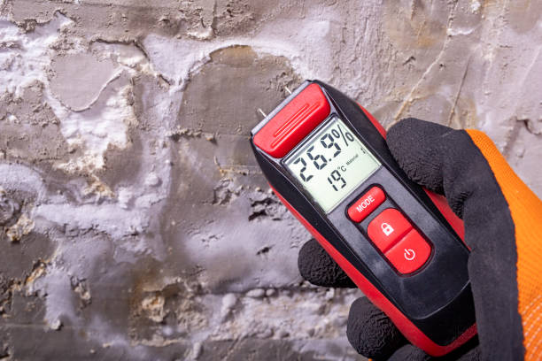 Best Mold Removal Company Near Me  in Riverside, IL