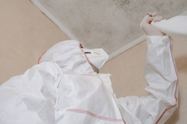 Best Commercial Mold Removal  in Riverside, IL