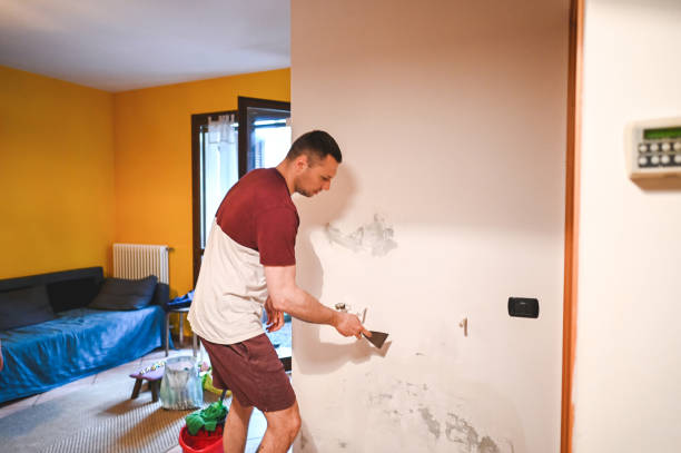 Best Residential Mold Removal  in Riverside, IL